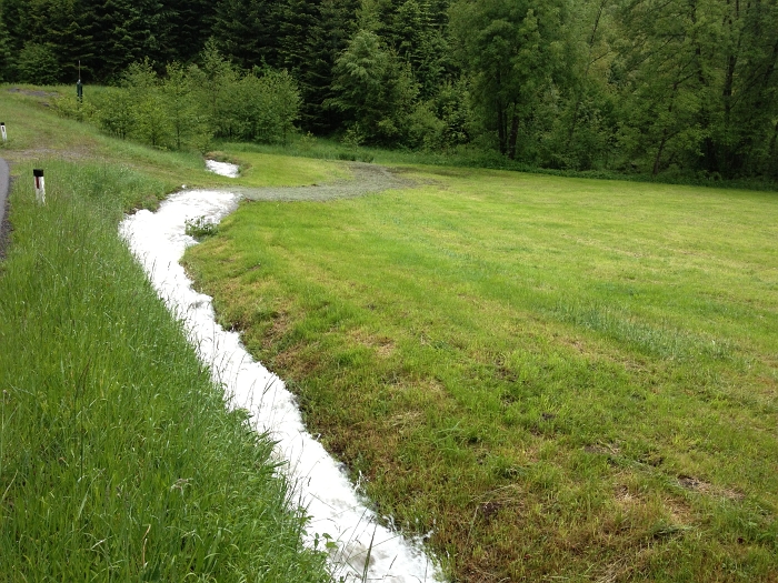 bild (21)